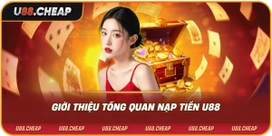 Giới thiệu tổng quan