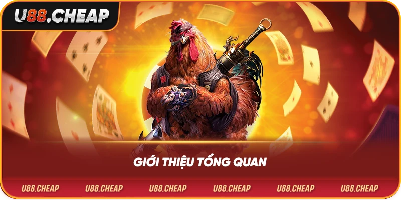 Giới thiệu tổng quan