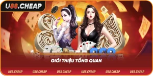 Giới thiệu tổng quan